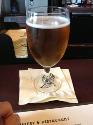 Iron Hill Brewery & Restaurant by null