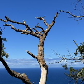 Kealia Trail - Hiking Near Me