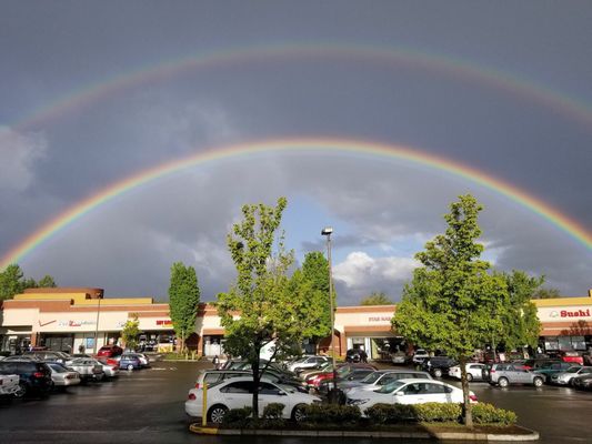 McMenamins Mall 205 by null