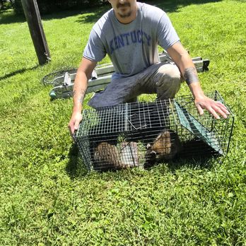 Matts Wildlife Control - Wildlife Control Near Me - Pewee valley, Kentucky Matts Wildlife Control - Wildlife Control Near Me - Pewee valley, Kentucky