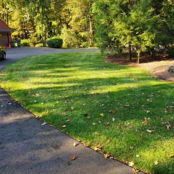 Riley Tree & Landscaping - Fertilization and Weed Control for Turf - Tree Services Near Me Riley Tree & Landscaping - Fertilization and Weed Control for Turf - Tree Services Near Me