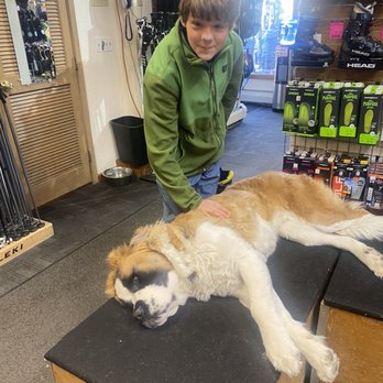 Vail Ski Tech - We looked forward to the pets everyday. - Ski & Snowboard Shops Near Me - Vail, Colorado