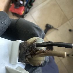Sub Zero, Wolf & Viking Appliances Repair - Better just cut it off and use new universal wire connectors