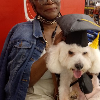 Petco - Pooch and I graduated this Spring. I have a B.A. in  I.T., but he has a Ph.R.D. - a Doctorate of Road Dogs! - Pet Stores Near Me - Chicago, Illinois