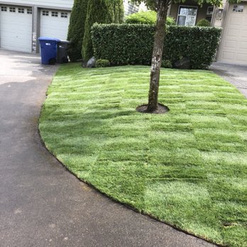 Solid Landscape Services - Small landscape renovation - Landscaping Near Me Solid Landscape Services - Small landscape renovation - Landscaping Near Me