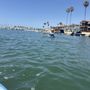 Photo of Harbor Kayak & Bike Rentals