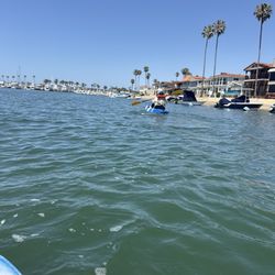 Harbor Kayak & Bike Rentals
