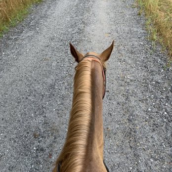 End of the Trail - Cimmerrone - Horseback Riding Near Me - Cherokee, North Carolina