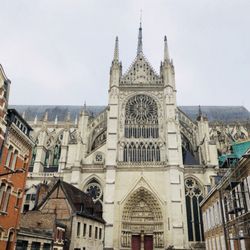 Amiens Guided Tours
