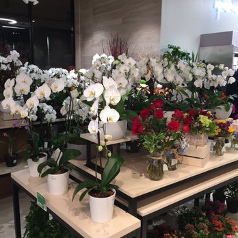 Plum Market - Grocery Near Me - Aventura, Florida