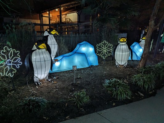 Chattanooga Zoo by null