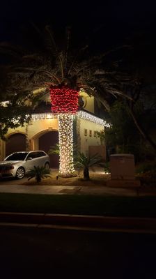 Holiday decorating for your trees. - Gives your trees a magical holiday glow. Holiday decorating for your trees. - Gives your trees a magical holiday glow.