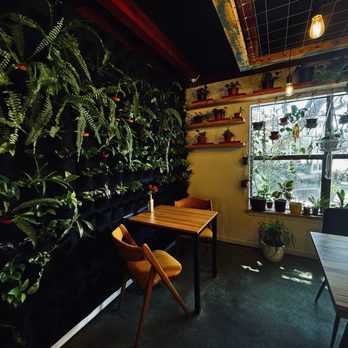 Ivy and Ale - Plants for Purchase - Nurseries & Gardening Near Me - Fort Walton Beach, Florida