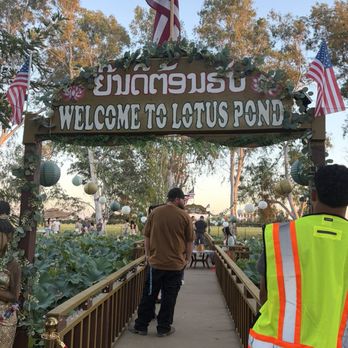 Lotus Pond - Public Markets Near Me - Sanger, California Lotus Pond - Public Markets Near Me - Sanger, California