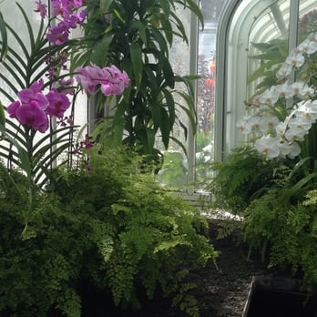 Volunteer Park Conservatory - Parks Near Me - Seattle, Washington Volunteer Park Conservatory - Parks Near Me - Seattle, Washington