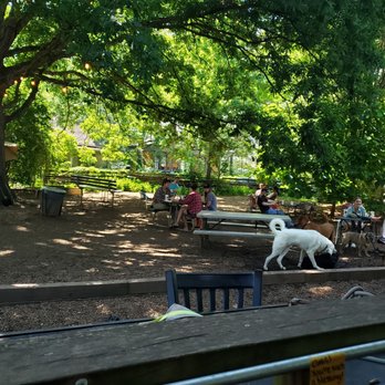 Parkgrounds Café | Specialty Coffee Atlanta - a dog and people sitting at picnic tables - Coffee & Tea Near Me - Atlanta, Georgia