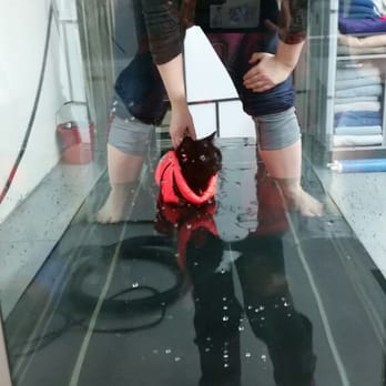 SOAR Veterinary Services - Our first cat in the underwater treadmill - Animal Physical Therapy Near Me - Burlington, Ontario SOAR Veterinary Services - Our first cat in the underwater treadmill - Animal Physical Therapy Near Me - Burlington, Ontario