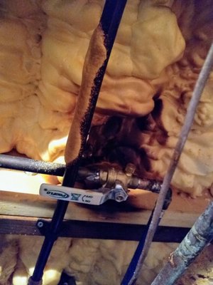 Craig the Plumber Logo