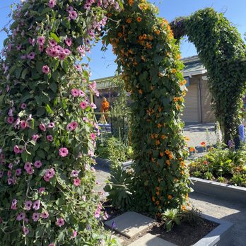The Flower Fields - Venues & Event Spaces Near Me - Carlsbad, California The Flower Fields - Venues & Event Spaces Near Me - Carlsbad, California