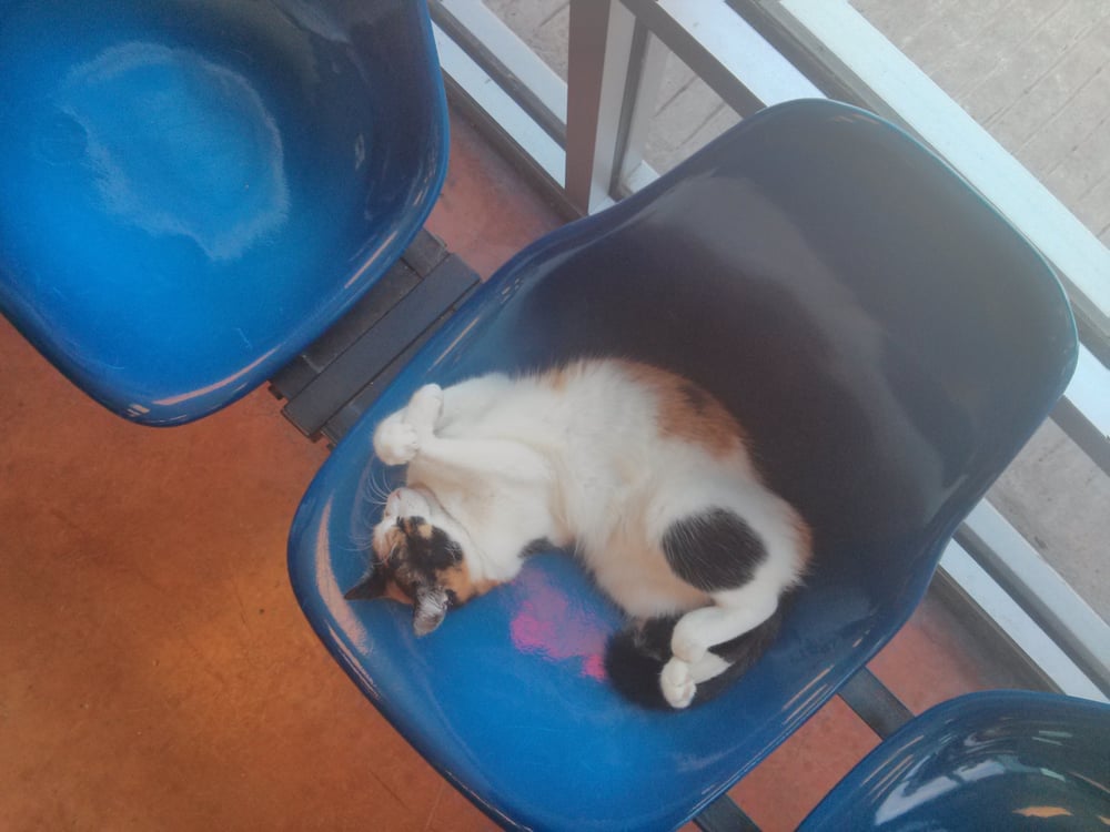 SOAP SUDS COIN LAUNDRY 4211 N Main St, Houston, Texas 62 Photos