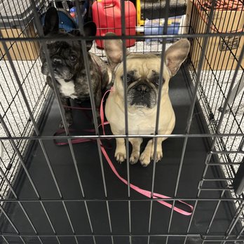 Behnkes pet grooming - Pet Groomers Near Me Behnkes pet grooming - Pet Groomers Near Me
