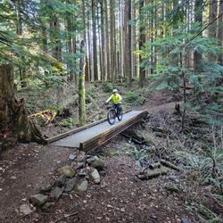 Seattle Mountain Bike Tours