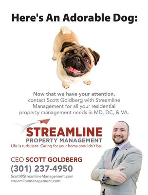 Gus campaign - Ruh roh! Need a property manager? Call (301) 237-4950 to get started today. Gus campaign - Ruh roh! Need a property manager? Call (301) 237-4950 to get started today.