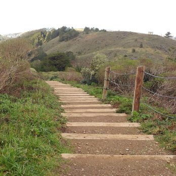 Sweeney Ridge - Discovered these flight of stairs en route to the skyline trail - Parks Near Me - San Bruno, California Sweeney Ridge - Discovered these flight of stairs en route to the skyline trail - Parks Near Me - San Bruno, California