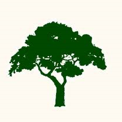 LIFELINES Genealogy Research - A full family tree...