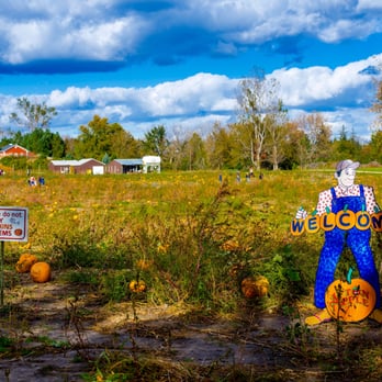 Afton Apple Orchard - Fruits & Veggies Near Me - Hastings, Minnesota Afton Apple Orchard - Fruits & Veggies Near Me - Hastings, Minnesota