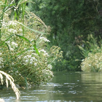 Rack Marsh - Active Life Near Me