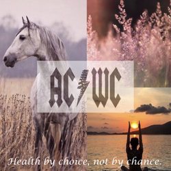 Aggieland Chiropractic & Wellness Center