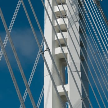Bay Bridge Trail - Lovely - Hiking Near Me - Oakland, California