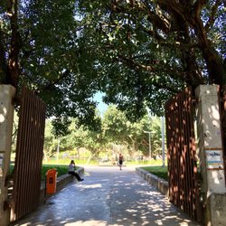 Parque Garota de Ipanema - Entry - VN