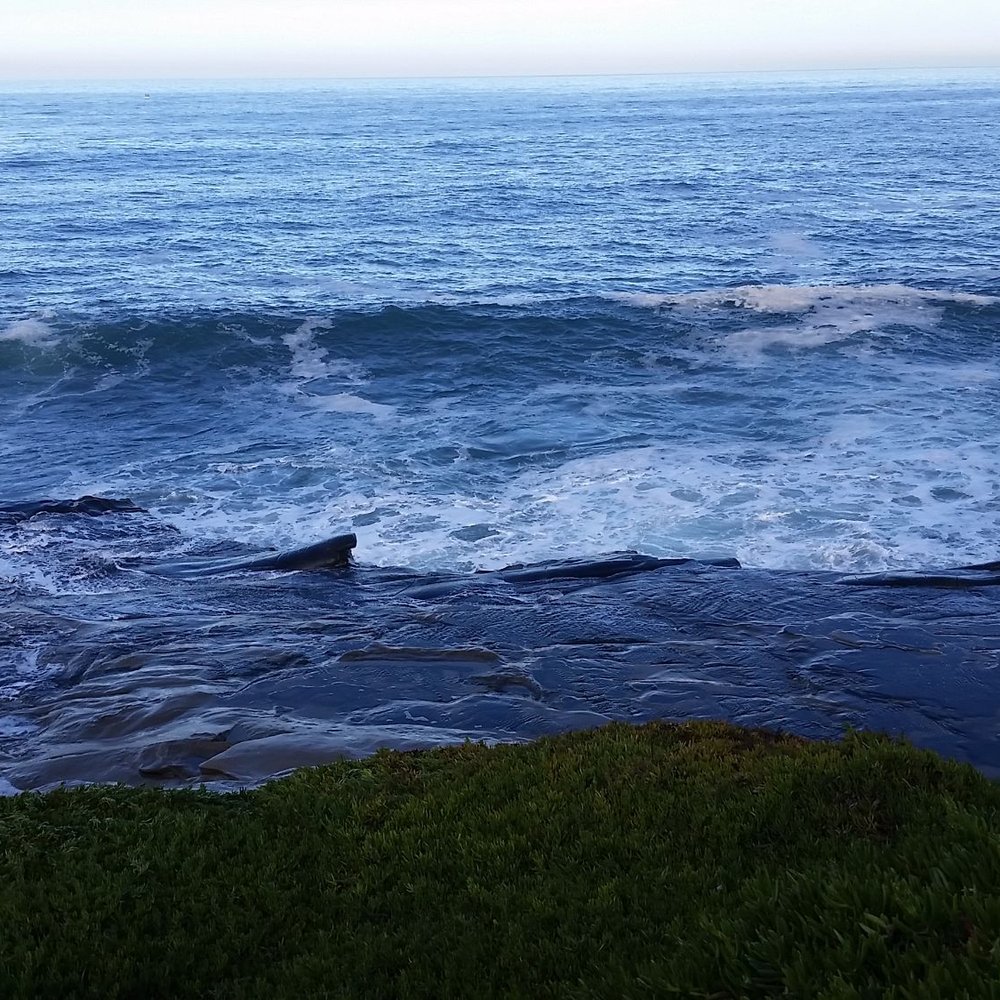 Ellen Browning Scripps Park - High tide - Parks Near Me - La Jolla, California Ellen Browning Scripps Park - High tide - Parks Near Me - La Jolla, California
