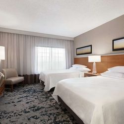 Embassy Suites by Hilton Grapevine DFW Airport North - Guest room