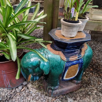 Heart Path Journeys - Example of local.plants and stands available to purchase - Day Spas Near Me - Makawao, Hawaii Heart Path Journeys - Example of local.plants and stands available to purchase - Day Spas Near Me - Makawao, Hawaii