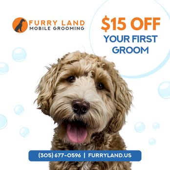 Furry Land Miami - Get $15 off your first groom with us! - Pet Groomers Near Me - Miami, Florida Furry Land Miami - Get $15 off your first groom with us! - Pet Groomers Near Me - Miami, Florida