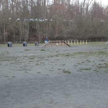 Grandview Off Leash Park - Obstacle course area on lower level - Dog Parks Near Me - SeaTac, Washington
