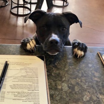 Mutt Lynch Winery - Hey, lady- throw me a bone - Wineries Near Me - Windsor, California
