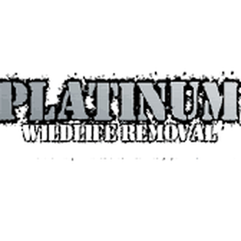 Platinum Wildlife Removal - Here is our company logo. - Wildlife Control Near Me - Canton, Michigan Platinum Wildlife Removal - Here is our company logo. - Wildlife Control Near Me - Canton, Michigan
