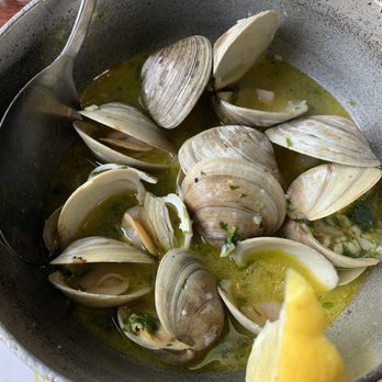 Portugal Express - Clams in garlic sauce delicious - Seafood Near Me - Elizabeth, New Jersey