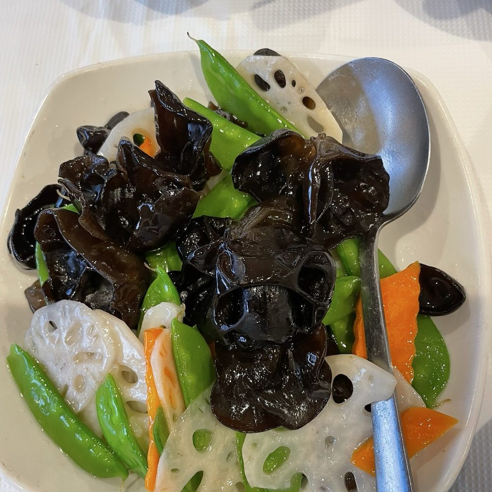 Szechuan's Dumpling - Szechuan Near Me - Arlington, Massachusetts