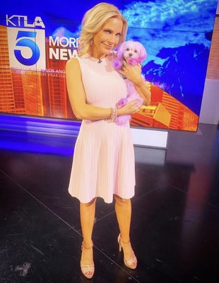 Dogue Spa - The Coolest Dog Grooming Salon by null