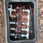 Photo of SD Irrigation And  Outdoor Lighting