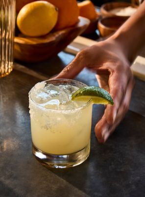 Barbuto Brooklyn by null