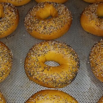 Your Bagel Cafe - a variety of bagels - Cafes Near Me - Center Moriches, New York Your Bagel Cafe - a variety of bagels - Cafes Near Me - Center Moriches, New York