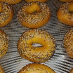 Your Bagel Cafe