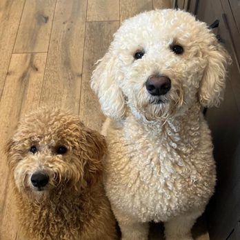 Pacific Coast Veterinary Specialists - Veterinarians Near Me - Calabasas, California Pacific Coast Veterinary Specialists - Veterinarians Near Me - Calabasas, California
