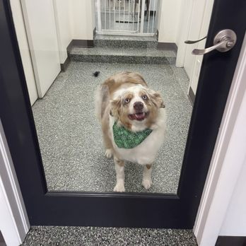 Doggy Style Salon - Pet Groomers Near Me - Denver, Colorado Doggy Style Salon - Pet Groomers Near Me - Denver, Colorado